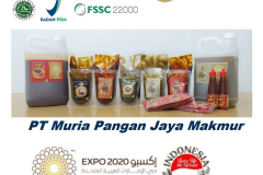 dubai-flyer-2